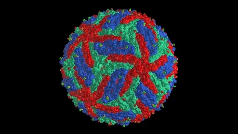 Zika virus capsid molecular model high resolution rotating,seamless loop Stock Footage 74076086