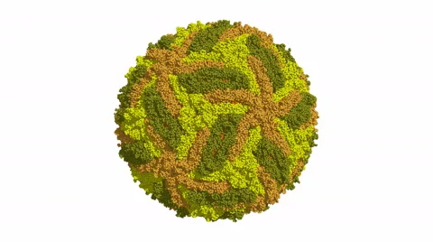 Zika virus capsid, rotating model Stock Footage 65990549