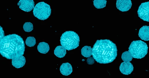 Zika virus concept Stock Footage 65277218