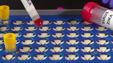 Zika virus concept footage with test tube Stock Footage 59883700
