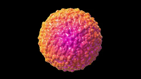 Zika virus Stock Footage 75604115