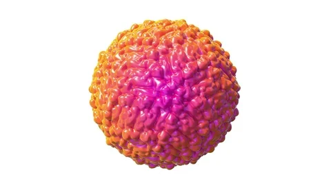 Zika virus Stock Footage 75604124