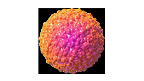 Zika virus Stock Footage 75604140