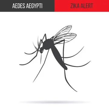 Zika virus graphic design elements. Stock Illustration