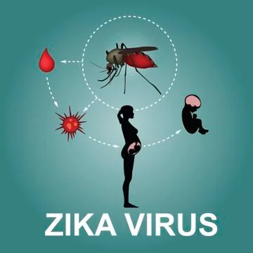 Zika virus Stock Illustration