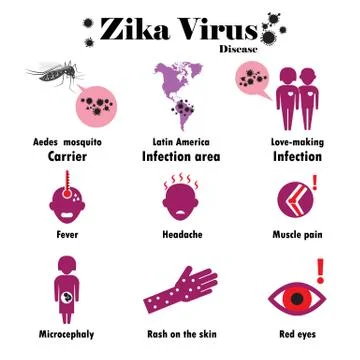 Zika virus infographic. Vector flat design. Stock Illustration