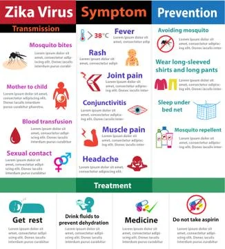 Zika virus infographics, vector Stock Illustration