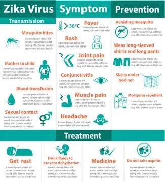 Zika virus infographics ,vector Stock Illustration