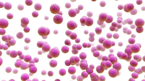 Zika virus particles, animation Stock Footage 75604144