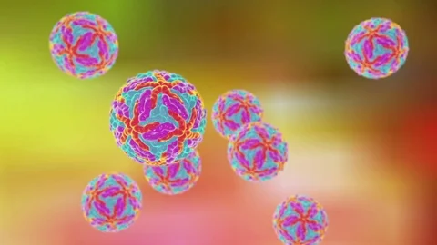 Zika virus particles, animation Stock Footage 75604185