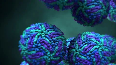 Zika virus particles, animation Stock Footage 178522181