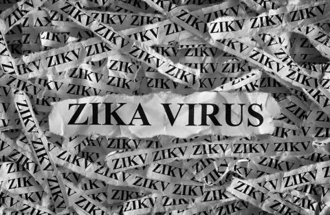 Zika virus Stock Photos