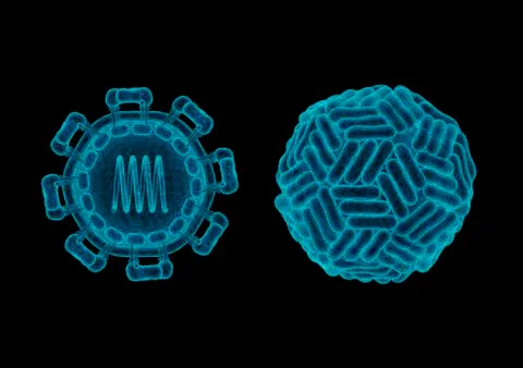 Zika virus structure concept Illustrazione stock