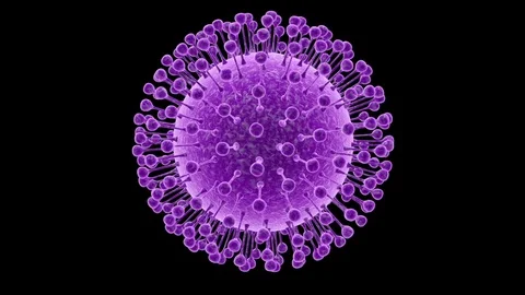 Zika virus structure Stock Footage 75604113