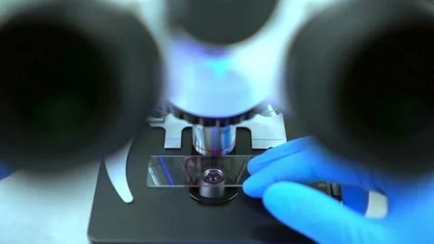 Zika virus under a microscope, to aid research in laboratory virology. Stock Footage 336582931
