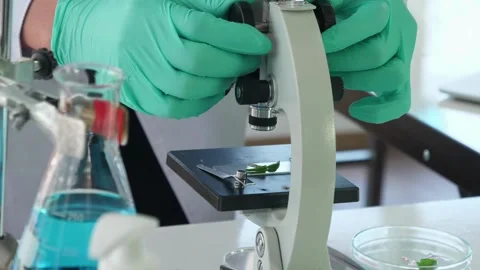 Zika virus under a microscope, to aid research in laboratory virology. Stock Footage 336582935