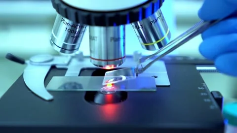 Zika virus under a microscope, to aid research in laboratory virology. Stock Footage 336582969