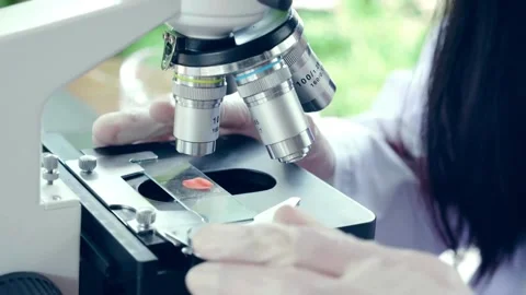 Zika virus under a microscope, to aid research in laboratory virology. Stock Footage 336582978