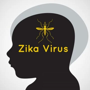 Zika virus vector Stock Illustration