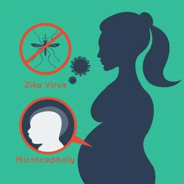 Zika virus vector Stock Illustration