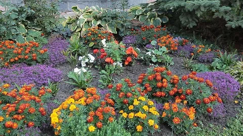 Зима Stockbeeldmateriaal 106247061