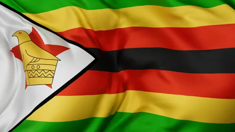 Zimbabwe cloth flag background loop Stock Footage 310851239