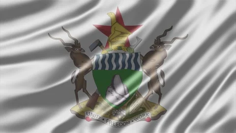 Zimbabwe coat of arms emblem Stock Footage 345147542