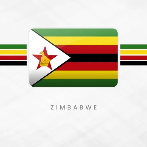 Zimbabwe Flag Button Icon, Waving Zimbabwean National Symbol 3D Illustratio.. Video stock 332067801