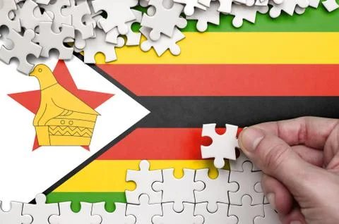 Zimbabwe flag  is depicted on a table on which the human hand folds a puzzle  写真素材