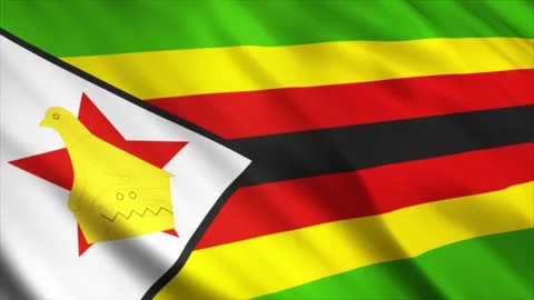 Zimbabwe Flag Stock Footage 249035120