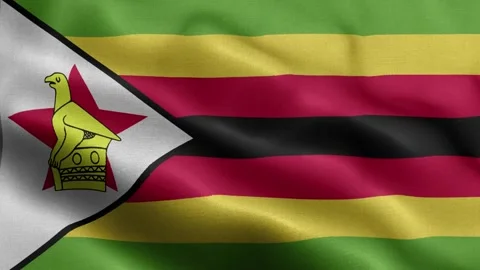 Zimbabwe flag Front Stock Footage 318660998