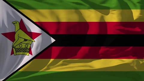 Zimbabwe Flag Loop Stock Footage 295742000