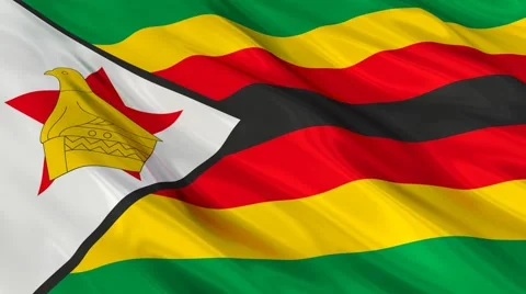 Zimbabwe flag Seamless 스톡 동영상 49088114