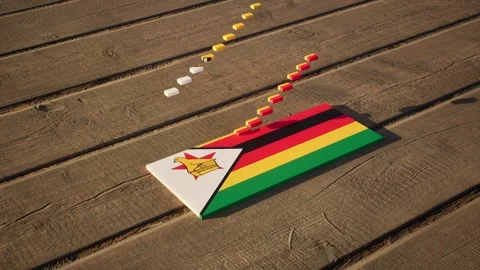 Zimbabwe Flag - Slow Motion Stock Footage 318944589