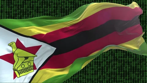 Zimbabwe flag - Waving flag on matrix binary code background Stock Footage 321422071