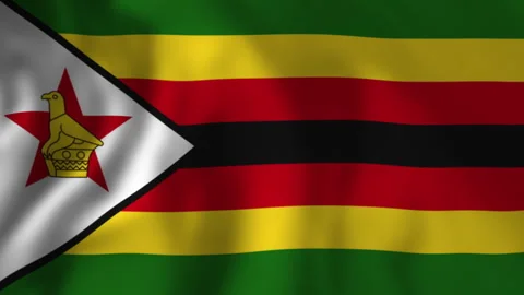 Zimbabwe flag waving gently in the wind Stock Footage 313926459