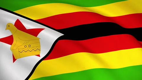 Zimbabwe National Flag Stock Footage 130359092
