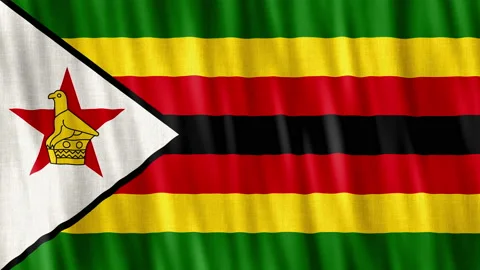 Zimbabwe National Flag. Seamless loop animation closeup waving. Stock Footage 232946896