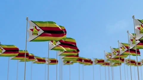 Zimbabwe Row Of Flags Animation Vídeo Stock 148808076