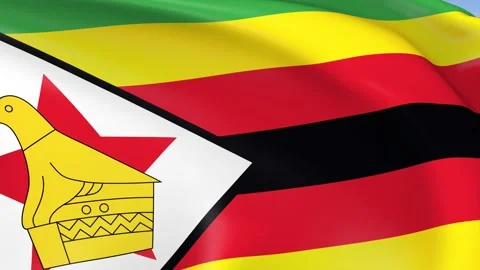 Zimbabwe Waving Flag Background Loop Stock Footage 317845473