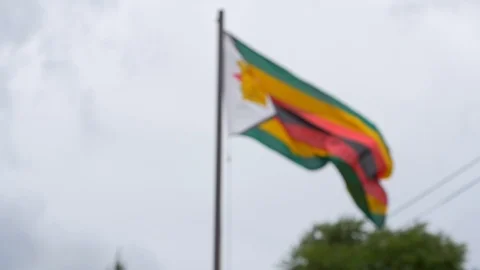 Zimbabwean Flag Blowing in the Wind - Slow Motion Video stock 89352583