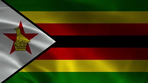 Zimbabwean Flag Stock Footage 336904116