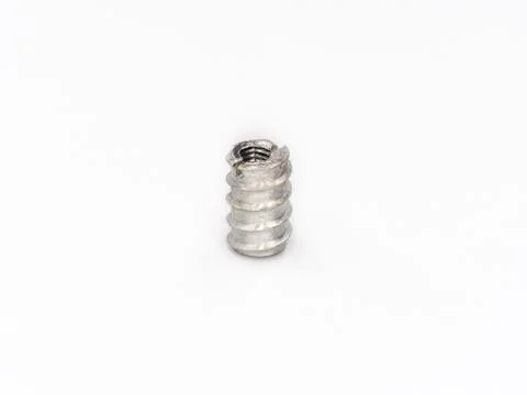 Zinc Alloy Slotted Socket Insert Wood Screw Nut Bolt on white. 库存照片