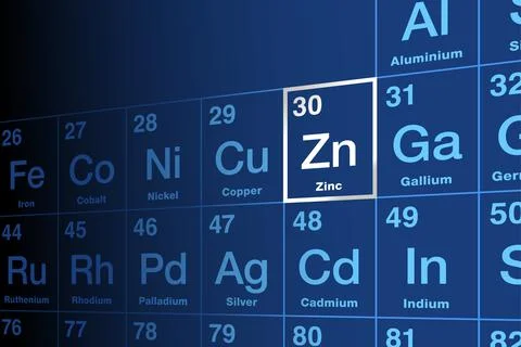 Zinc on periodic table of the elements, with element symbol Zn Stock-Illustration