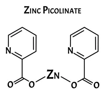 Zinc picolinate molecular chemical formula. Zinc infographics. Vector Stock Illustration