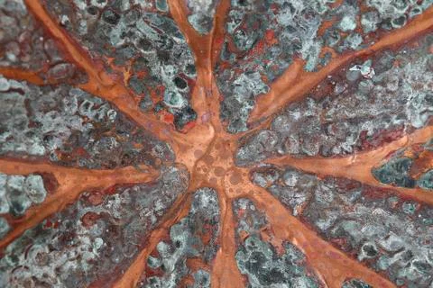 Zinc texture Stock Photos