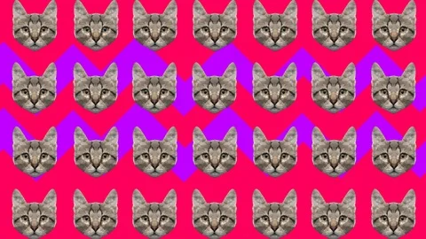 Zine abstract Cat background pattern Stock Footage 106292050