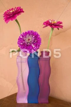 Zinnias In Coloured Vases