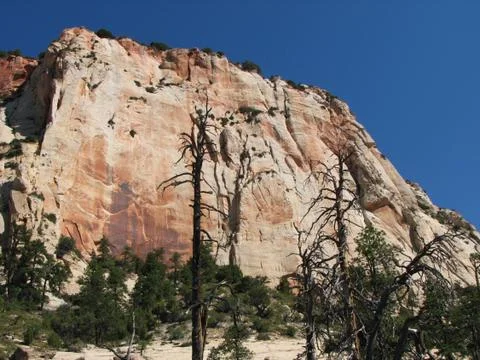 Zion cliff Stock Photos