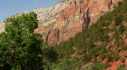 Zion cliff tilt from trees Video stock 65966462